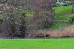 THE PEOPLES FLOWER GARDEN [PHOENIX PARK 30 DECEMBER 2024]-245932-1