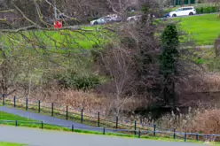 THE PEOPLES FLOWER GARDEN [PHOENIX PARK 30 DECEMBER 2024]-245936-1