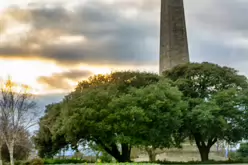 THE PEOPLES FLOWER GARDEN [PHOENIX PARK 30 DECEMBER 2024]-245940-1