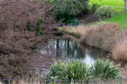THE PEOPLES FLOWER GARDEN [PHOENIX PARK 30 DECEMBER 2024]-245945-1