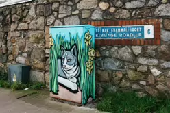 PAINT-A-BOX STREETART BY BLU HERON DESIGN [LOWER KIMMAGE ROAD D6]-245867-1