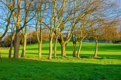 CHURCH LANE AND WOODVIEW COTTAGES [AS WELL AS RATHFARNHAM MILL]-245598-1