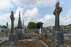 MOUNT ST LAWRENCE CEMETERY IN LIMERICK [2016 LEGACY PHOTO COLLECTION]-244492-1