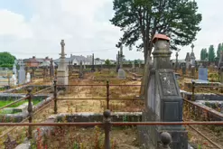 MOUNT ST LAWRENCE CEMETERY IN LIMERICK [2016 LEGACY PHOTO COLLECTION]-244498-1