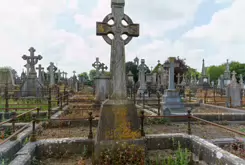 MOUNT ST LAWRENCE CEMETERY IN LIMERICK [2016 LEGACY PHOTO COLLECTION]-244500-1