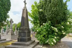 MOUNT ST LAWRENCE CEMETERY IN LIMERICK [2016 LEGACY PHOTO COLLECTION]-244512-1