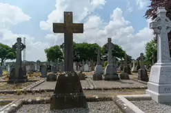 MOUNT ST LAWRENCE CEMETERY IN LIMERICK [2016 LEGACY PHOTO COLLECTION]-244526-1