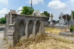 MOUNT ST LAWRENCE CEMETERY IN LIMERICK [2016 LEGACY PHOTO COLLECTION]-244532-1
