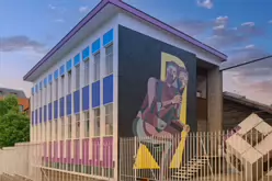 STREET ART INCLUDING THE SLEEPING PATTERNS MURALS [THE CAHILL MAY ROBERTS SITE JUNE 2016]-244468-1