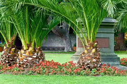 AN EMPTY PLINTH AND ITS STORY [LOCATED IN THE PEOPLE'S FLOWER GARDEN]-243508-1