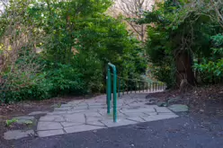 MY CHRISTMAS 2024 VISIT TO BUSHY PARK [19 DECEMBER 2024]-245572-1