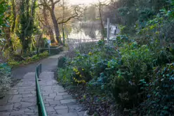 MY CHRISTMAS 2024 VISIT TO BUSHY PARK [19 DECEMBER 2024]-245576-1