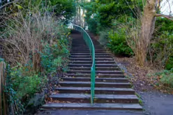 MY CHRISTMAS 2024 VISIT TO BUSHY PARK [19 DECEMBER 2024]-245577-1