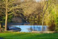 MY CHRISTMAS 2024 VISIT TO BUSHY PARK [19 DECEMBER 2024]-245587-1