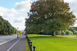 THE PEOPLES FLOWER GARDEN [THIS IS WITHIN PHOENIX PARK]--243535-1