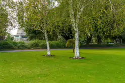 THE WELLINGTON OBELISK [PHOENIX PARK OCTOBER 2024]-243521-1
