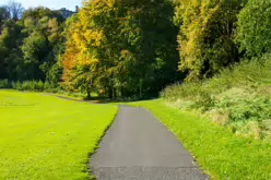 MILL LANE PARK IN PALMERSTOWN [AND PALMERSTOWN FOOTBALL CLUB]-243166-1