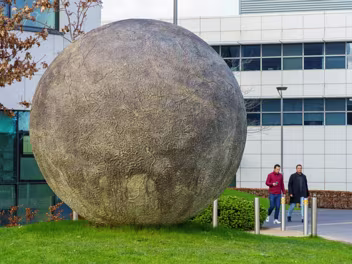 NOAH'S EGG BY RACHEL JOYNT