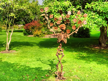 THE TREE OF LIFE