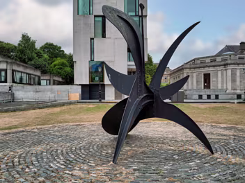 NOT A GENERIC METAL SCULPTURE An in-depth analysis of Alexander Calder’s 1967 stabile sculpture 'Cactus Provisoire' at Trinity College Dublin,...