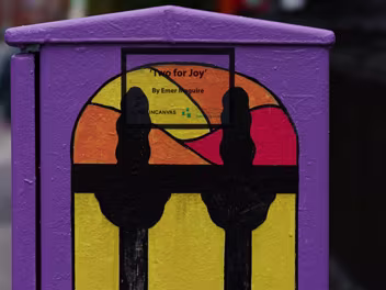 TWO FOR JOY Emer Maguire is a self-taught artist who enjoys painting and creating art as a hobby. Her "Two for Joy" piece was...