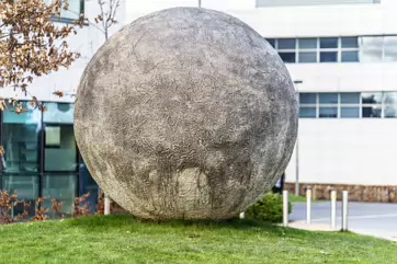 NOAH'S EGG [BY RACHEL JOYNT]-202823-1
