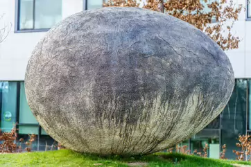 NOAH'S EGG [BY RACHEL JOYNT]-202824-1