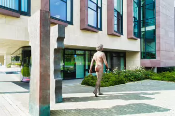 PORTAL BY CATHERINE GREENE [NEAR THE UCD SUTHERLAND SCHOOL OF LAW]-222773-1
