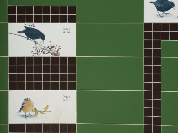 IRISH BIRDS Killian Mullarney is a highly acclaimed Irish ornithologist, bird artist, and bird tour leader. He is considered one of...