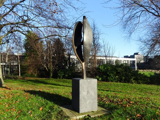 UCD CAMPUS THERE IS MUCH TO SEE