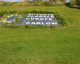 CARLOW TOWN PARK [CREATED ABOUT TWENTY YEARS AGO]-239567-1