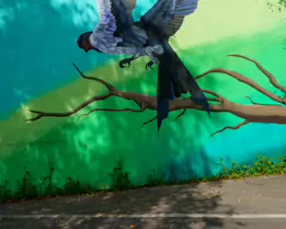 MURALS IN THE PARK BY KIRSTY MAHER [CARLOW TOWN PARK AND PLAYGROUND]-239508-1