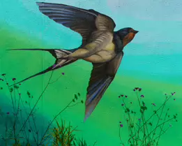 MURALS IN THE PARK BY KIRSTY MAHER [CARLOW TOWN PARK AND PLAYGROUND]-239512-1