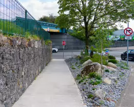 STATION ROAD AND ITS HISTORY [THE TOWN OF CARLOW 30 AUGUST 2024]-239635-1