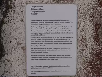 UPRIGHT MEADOW Saidhbhín Gibson’s work explores the framing of the non-human environment for and by contemporary society. She employs...