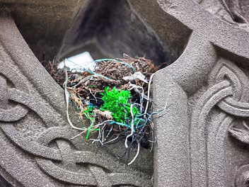 BIRD'S NEST The Celtic cross is deeply intertwined with early Irish Christianity, which was predominantly Catholic.