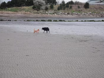 SANDYMOUNT STRAND