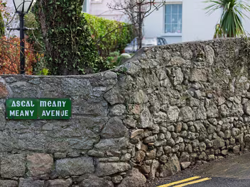 COLIMORE ROAD 2008 A documentary and architectural comparison of Coliemore Road in Dalkey between March 2008 and September 2026....