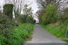 LEHAUNSTOWN LANE 31 MARCH 2024