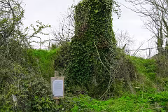 31 MARCH 2024 VISIT TO LAUGHANSTOWN LANE [SONY FX30 AND ADAPTED SIGMA 24-105MM LENS]-259363-1