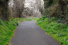 31 MARCH 2024 VISIT TO LAUGHANSTOWN LANE [SONY FX30 AND ADAPTED SIGMA 24-105MM LENS]-259365-1