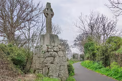31 MARCH 2024 VISIT TO LAUGHANSTOWN LANE [SONY FX30 AND ADAPTED SIGMA 24-105MM LENS]-259367-1
