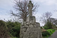 31 MARCH 2024 VISIT TO LAUGHANSTOWN LANE [SONY FX30 AND ADAPTED SIGMA 24-105MM LENS]-259368-1