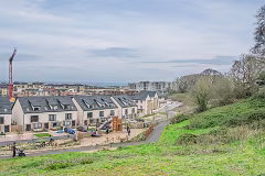 31 MARCH 2024 VISIT TO LAUGHANSTOWN LANE [SONY FX30 AND ADAPTED SIGMA 24-105MM LENS]-259376-1
