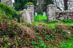 31 MARCH 2024 VISIT TO TULLY CHURCH AND GRAVEYARD LAUGHANSTOWN LANE [SONY FX30 AND ADAPTED SIGMA 24-105MM LENS]-259388-1