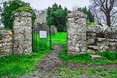 31 MARCH 2024 VISIT TO TULLY CHURCH AND GRAVEYARD LAUGHANSTOWN LANE [SONY FX30 AND ADAPTED SIGMA 24-105MM LENS]-259390-1