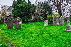31 MARCH 2024 VISIT TO TULLY CHURCH AND GRAVEYARD LAUGHANSTOWN LANE [SONY FX30 AND ADAPTED SIGMA 24-105MM LENS]-259391-1