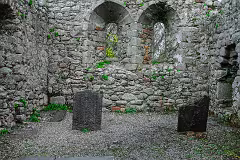 31 MARCH 2024 VISIT TO TULLY CHURCH AND GRAVEYARD LAUGHANSTOWN LANE [SONY FX30 AND ADAPTED SIGMA 24-105MM LENS]-259398-1
