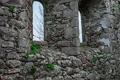 31 MARCH 2024 VISIT TO TULLY CHURCH AND GRAVEYARD LAUGHANSTOWN LANE [SONY FX30 AND ADAPTED SIGMA 24-105MM LENS]-259405-1