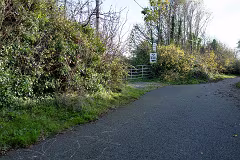 WILL LEHAUNSTOWN LANE SURVIVE [I AM NOT FULLY CONVINCED]-259308-1